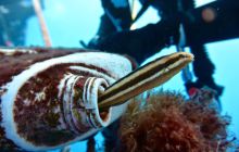 Zdjęcia z wyjazdu na Andamany