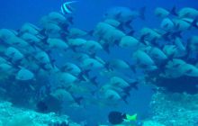 Zdjęcia z wyjazdu na Andamany