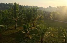 Zdjęcia z wyjazdu na Andamany