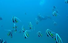 Zdjęcia z wyjazdu na Andamany