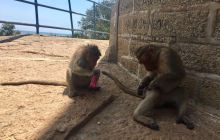 Zdjęcia z wyjazdu na Andamany