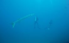 Zdjęcia z wyjazdu na Andamany