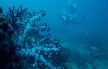 Zdjęcia z wyjazdu na Andamany