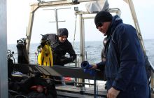 Zdjęcia z wyjazdu na wraki Abilla, Groźny, Delfin