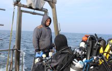 Zdjęcia z wyjazdu na wraki Abilla, Groźny, Delfin