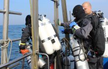 Zdjęcia z wyjazdu na wraki Abilla, Groźny, Delfin