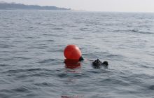 Zdjęcia z wyjazdu na wraki Abilla, Groźny, Delfin