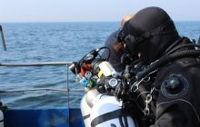 Zdjęcia z wyjazdu na wraki Abilla, Groźny, Delfin