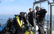 Zdjęcia z wyjazdu na wraki Abilla, Groźny, Delfin