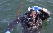 Zdjęcia z wyjazdu na wraki Abilla, Groźny, Delfin