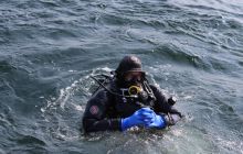 Zdjęcia z wyjazdu na wraki Abilla, Groźny, Delfin