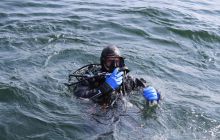 Zdjęcia z wyjazdu na wraki Abilla, Groźny, Delfin