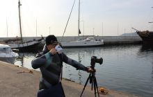 Zdjęcia z wyjazdu na wraki Abilla, Groźny, Delfin