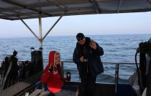 Zdjęcia z wyjazdu na wraki Abilla, Groźny, Delfin