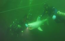 Zdjęcia z wyjazdu w rejonie Drezna