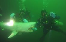 Zdjęcia z wyjazdu w rejonie Drezna