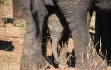 Zdjęcia z wyjazdu do południowej Afryki