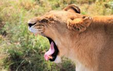 Zdjęcia z wyjazdu do południowej Afryki