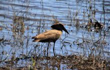 Zdjęcia z wyjazdu do południowej Afryki