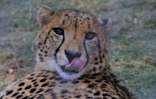 Zdjęcia z wyjazdu do południowej Afryki