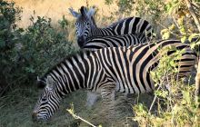 Zdjęcia z wyjazdu do południowej Afryki