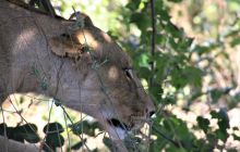 Zdjęcia z wyjazdu do południowej Afryki