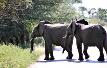 Zdjęcia z wyjazdu do południowej Afryki