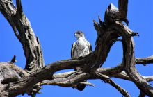 Zdjęcia z wyjazdu do południowej Afryki