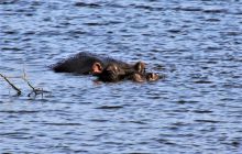 Zdjęcia z wyjazdu do południowej Afryki