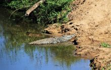Zdjęcia z wyjazdu do południowej Afryki