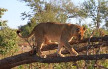 Zdjęcia z wyjazdu do południowej Afryki