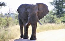 Zdjęcia z wyjazdu do południowej Afryki