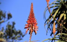 Zdjęcia z wyjazdu do południowej Afryki