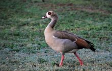 Zdjęcia z wyjazdu do południowej Afryki