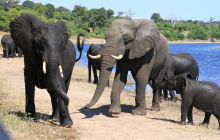 Zdjęcia z wyjazdu do południowej Afryki