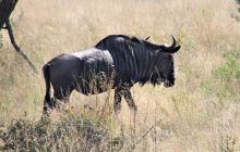 Zdjęcia z wyjazdu do południowej Afryki