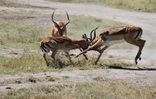 Zdjęcia z wyjazdu do południowej Afryki