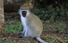 Zdjęcia z wyjazdu do południowej Afryki