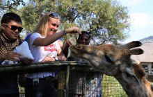 Zdjęcia z wyjazdu do południowej Afryki