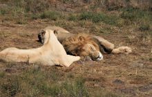 Zdjęcia z wyjazdu do południowej Afryki