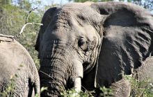 Zdjęcia z wyjazdu do południowej Afryki