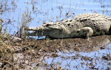 Zdjęcia z wyjazdu do południowej Afryki