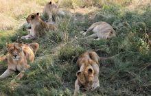 Zdjęcia z wyjazdu do południowej Afryki