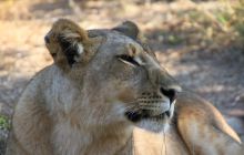 Zdjęcia z wyjazdu do południowej Afryki