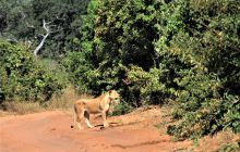 Zdjęcia z wyjazdu do południowej Afryki