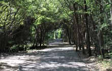 Zdjęcia z wyjazdu do południowej Afryki