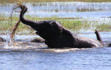 Zdjęcia z wyjazdu do południowej Afryki