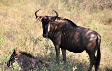 Zdjęcia z wyjazdu do południowej Afryki