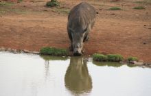 Zdjęcia z wyjazdu do południowej Afryki
