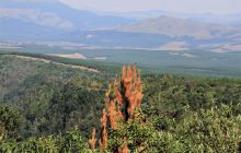 Zdjęcia z wyjazdu do południowej Afryki